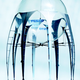Illustration for article titled AquaJelly and AirJelly Robot Jellyfish At Home In the Water or the Sky
